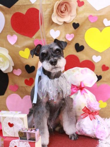 20230205ドンくん